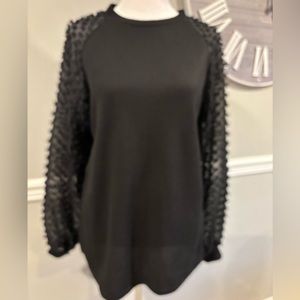 Women's Black Dressy Sheer Long Sleeve Top - Size Medium NWOT